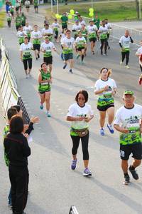 BIB: 
                            <button type="button" onclick="openModal(3537815)" class="btn btn-primary btn-sm float-right btn-popup" data-toggle="modal" data-target=".modal-high-quality">
                        <i class="fas fa-shopping-cart"></i> Add to Cart
                    </button>
                                            <button type="button" onclick="isThisMe(3537815, true)" class="btn btn-success btn-sm float-right btn-popup btn-isme hidden" data-toggle="tooltip" data-placement="bottom" title="นี่คือรูปของคุณใช่ไหม คลิกที่นี่เพื่อเอาเข้าอัลบั้ม">
                        <i class="fas fa-plus"></i> Add to album
                    </button>
                    <button type="button" onclick="isThisMe(3537815, false)" class="btn btn-warning btn-sm float-right btn-popup btn-isnotme hidden">
                        <i class="fas fa-ban"></i> Remove from album
                    </button>